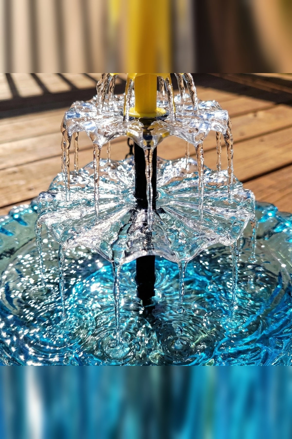 Hanging Bird Bath with Solar Fountain – Glass Bowl on a Chain