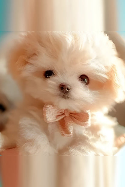 Walking and Barking Plush Dog – Responds to Touch